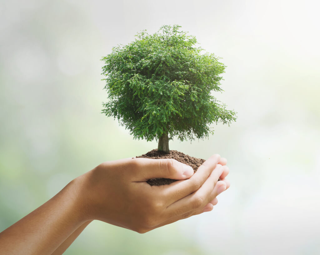 Cselekedj velünk, és létrejön egy élhető bolygó